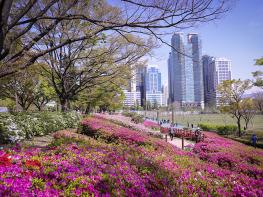 서울시, 봄맞이 공원 프로그램 풍성 기사 이미지
