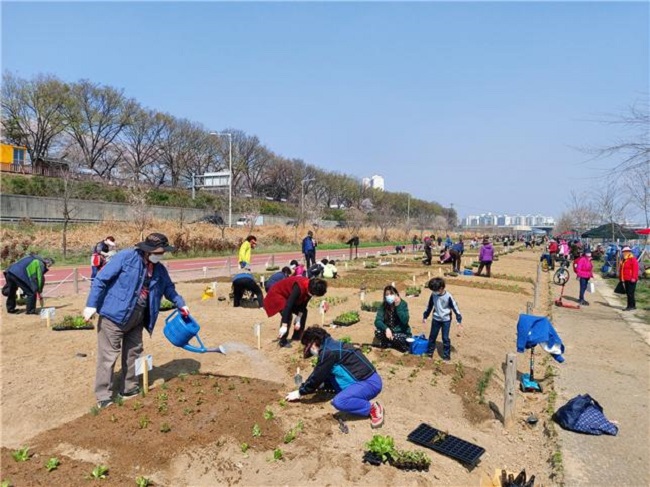 2020년 도시농업 체험학습장에 참가한 가족이 채소에 물을 주고 있다사진  동대문구 제공