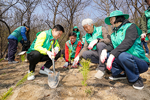 새마을운동 동대문구지회, 식목일 맞아 나무 심기 행사  기사 이미지