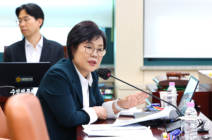 서울 택시기사 75%가 60세 이상… 교통사고 83% 고령 운전자 차지 기사 이미지