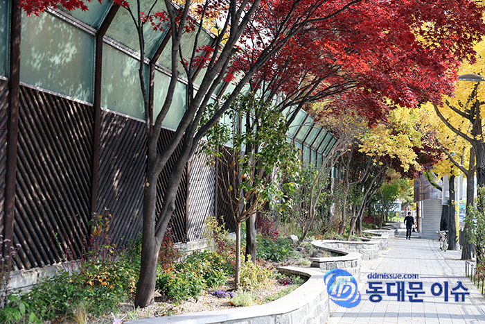 동대문구, 전곡초~동부교육지원청 구간 ‘자녀안심그린숲’ 조성 완료 기사 이미지