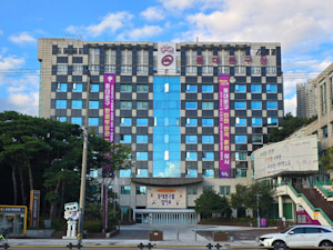 동대문구, 2026년 노인일자리 3,846명으로 확대… 전년 대비 13.8% 증가 기사 이미지