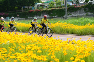 동대문구, ‘2026 생활안전보험’ 확대 개편… 재난·일상 상해까지 보장 강화 기사 이미지