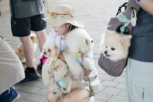 동대문구, ‘우리동네 펫위탁소’ 2곳 운영 기사 이미지