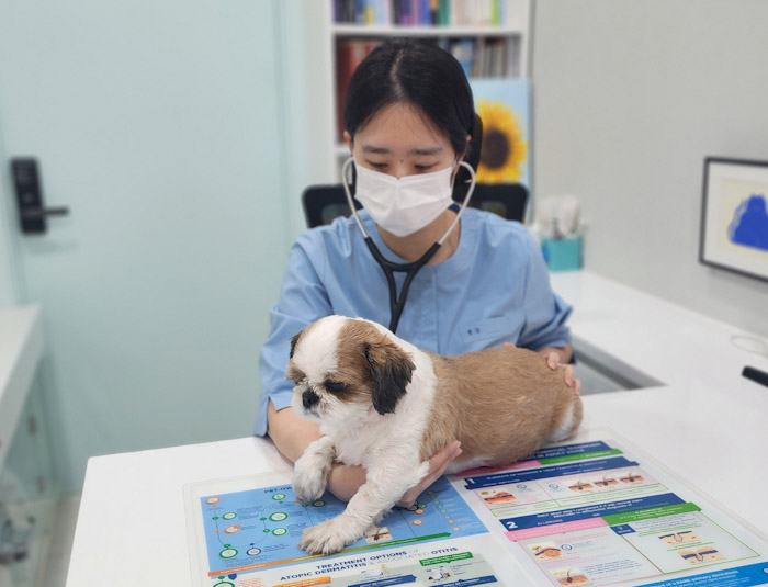 중구, 취약계층 반려동물 의료비 지원 기사 이미지