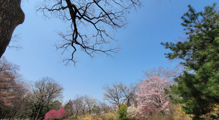 홍릉숲, 100년 역사 담아 시민 품으로 기사 이미지