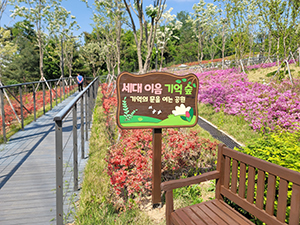 동대문구, ‘기억의 문을 여는 공원’ 조성…치매 예방·어르신 건강 돌본다