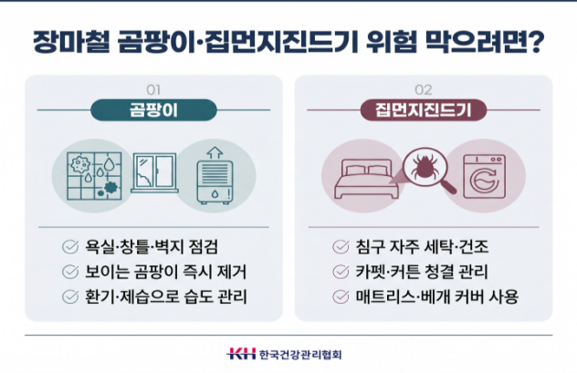 장마철 곰팡이·집먼지진드기 비상…알레르기 질환 주의보