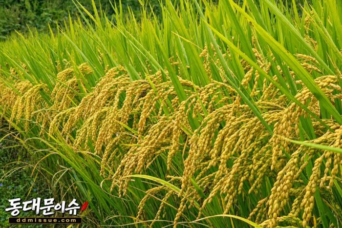 「아무도 보지 않아도, 약속은 남는다」