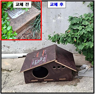 동대문구, 길고양이 공존정책 확대…공공급식소 48곳·TNR 400마리